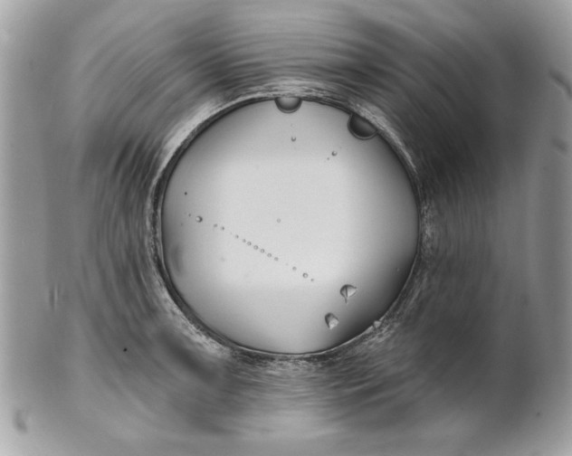 X0000100871091200807071056