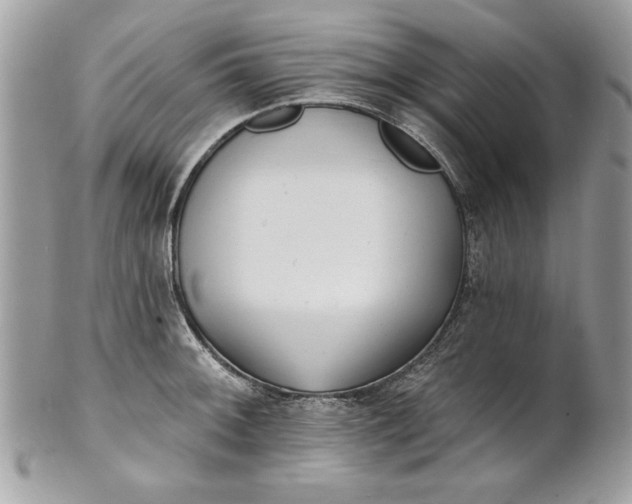 X0000100871092200807071056