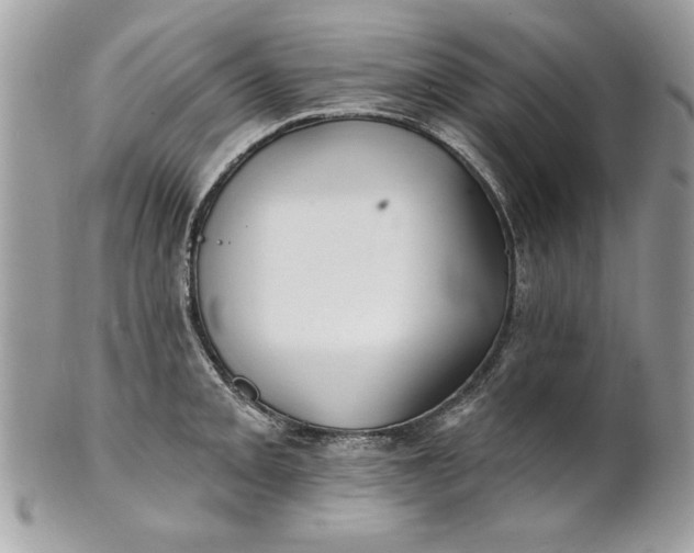 X0000100871093200807071056