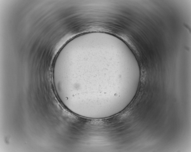 X0000100871094200807071056