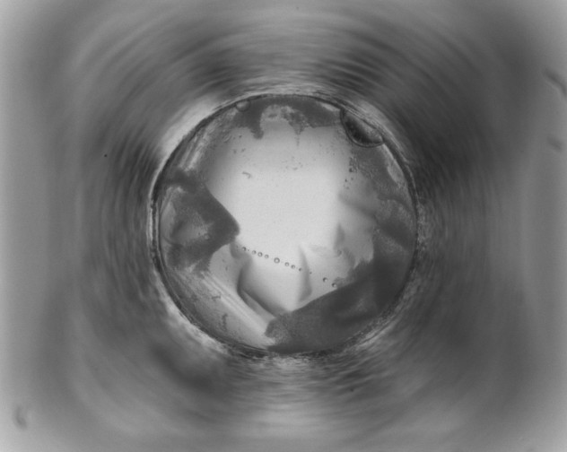 X0000100871095200807071056