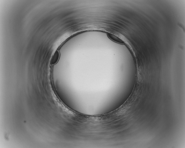 X0000100871096200807071056