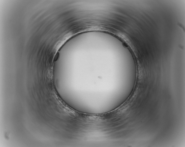 X0000100871097200807071056