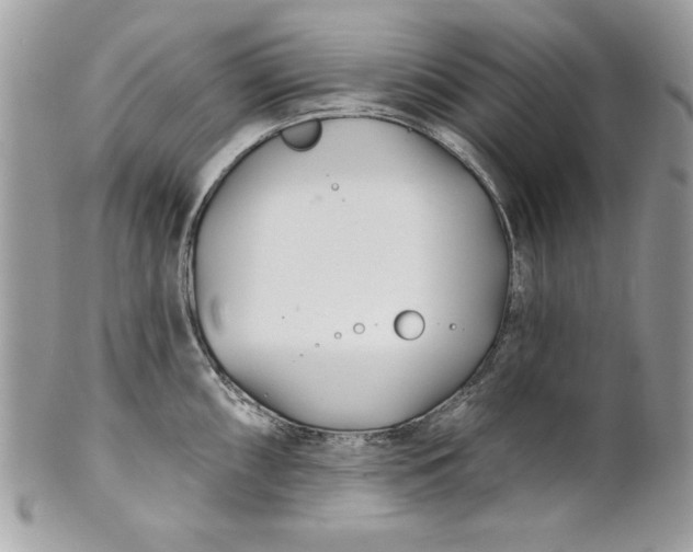 X0000100871098200807071056