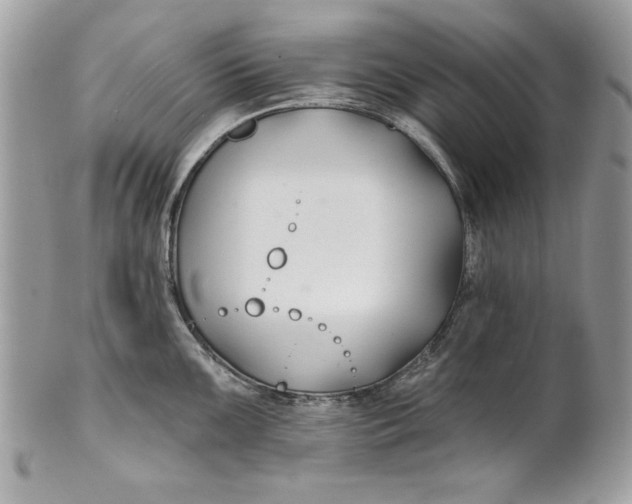 X0000100871099200807071056