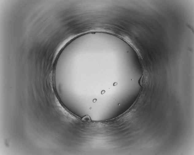 X0000100871100200807071056