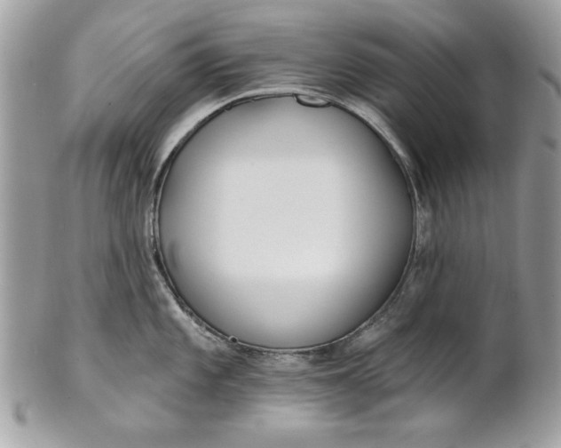 X0000100871101200807071056