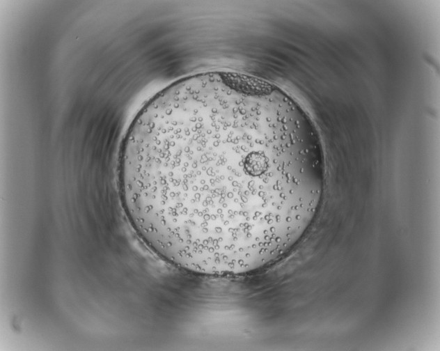 X0000100871104200807071056