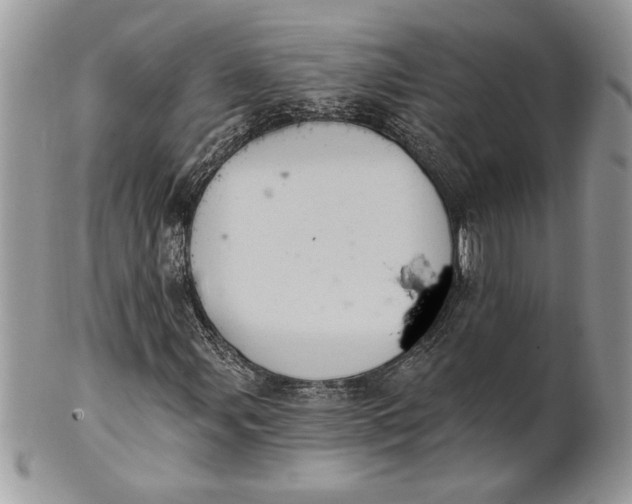 X0000100871107200807071055