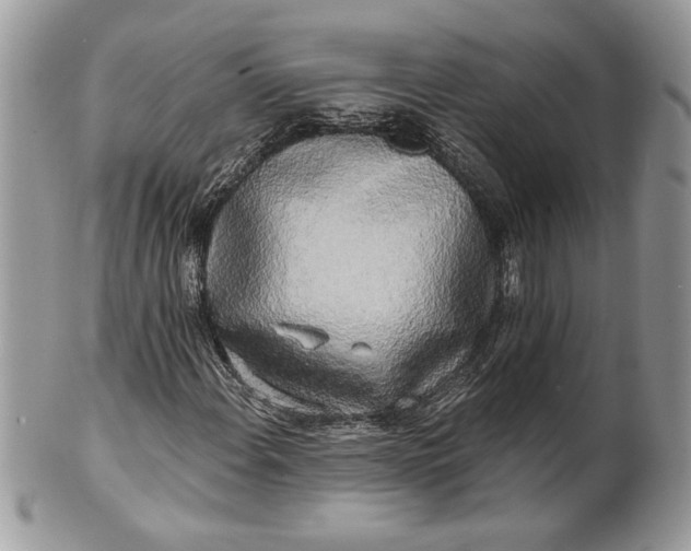 X0000100871108200807071055