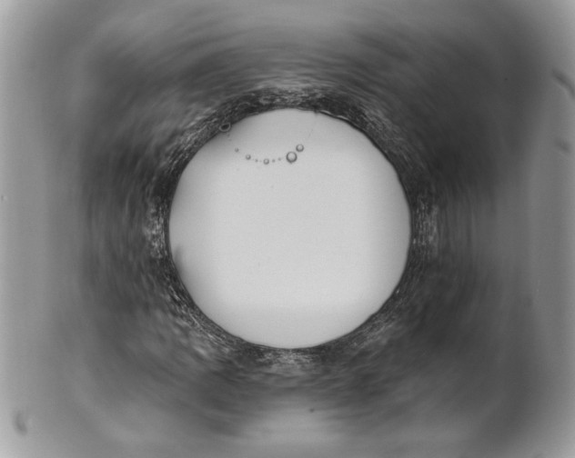 X0000100871109200807071055