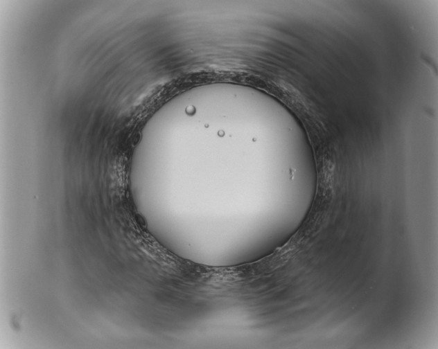 X0000100871110200807071055