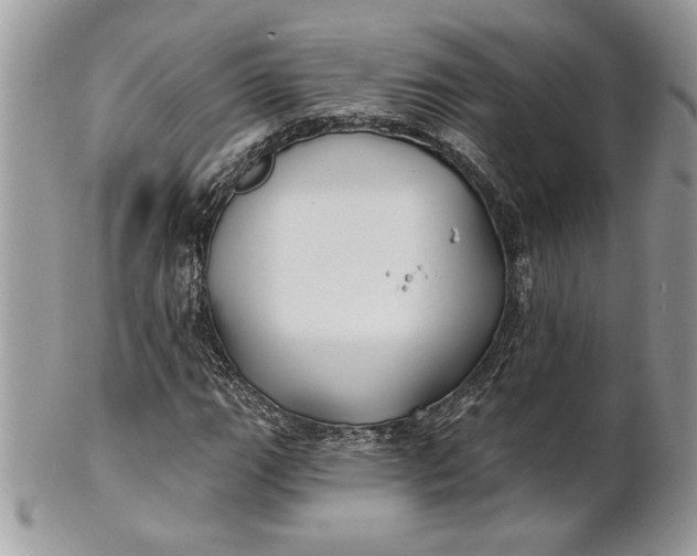 X0000100871111200807071055