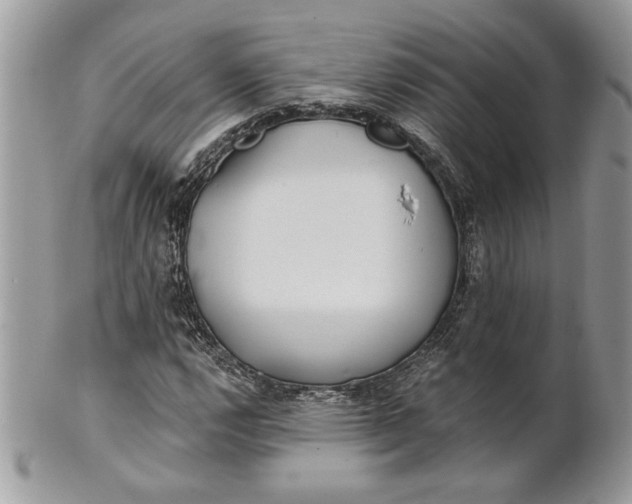 X0000100871112200807071055