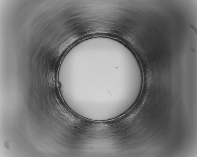 X0000100871113200807071055