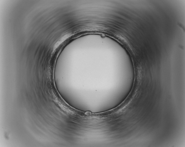 X0000100871114200807071055