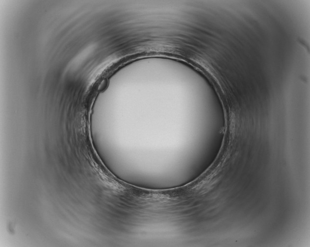 X0000100871115200807071055