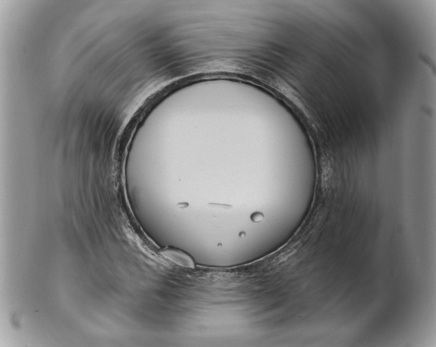 X0000100871116200807071055