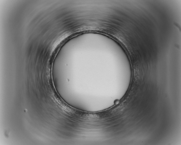 X0000100871119200807071056