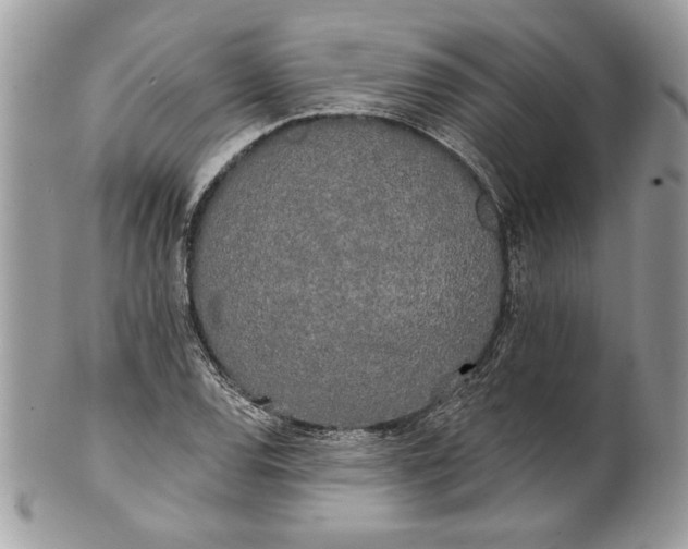 X0000100871120200807071056