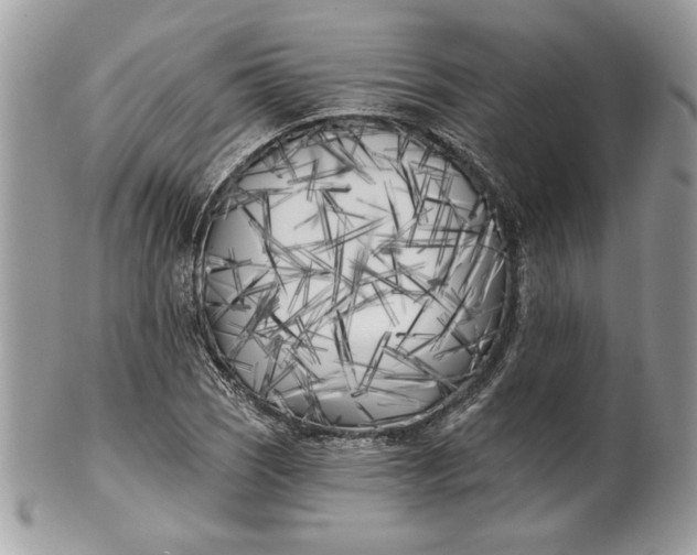 X0000100871121200807071056