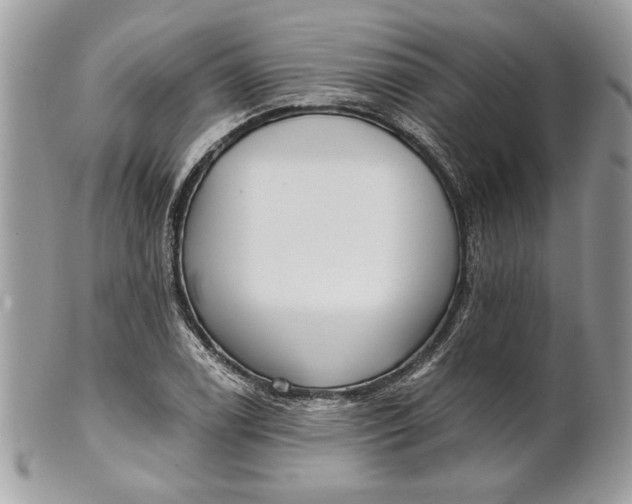 X0000100871122200807071056