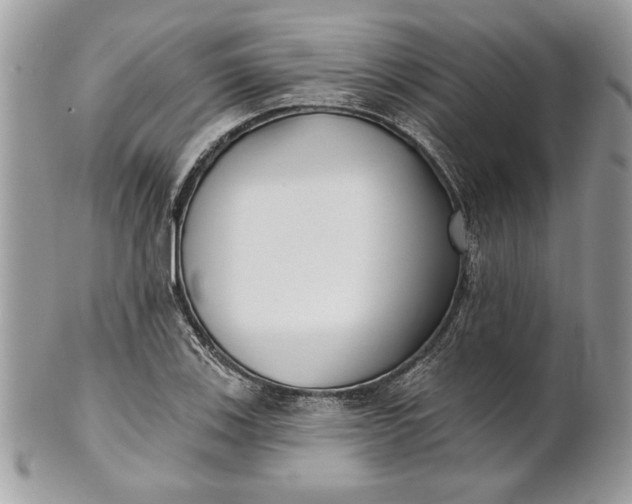 X0000100871123200807071056