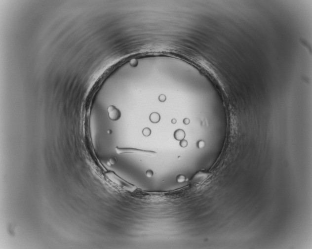 X0000100871124200807071056