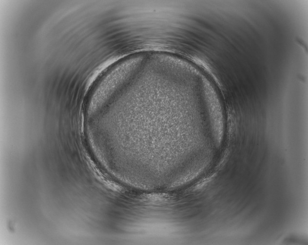 X0000100871125200807071056