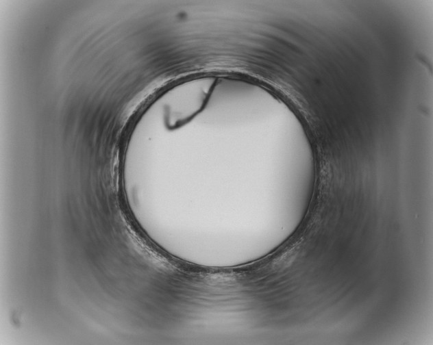 X0000100871126200807071056