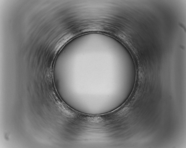 X0000100871129200807071056