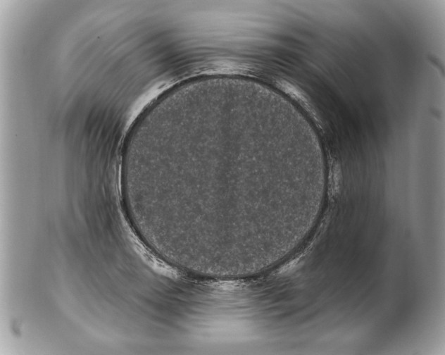 X0000100871130200807071056