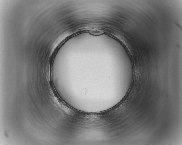 X0000100871131200807071056