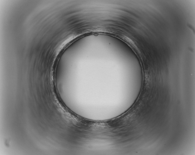 X0000100871133200807071056