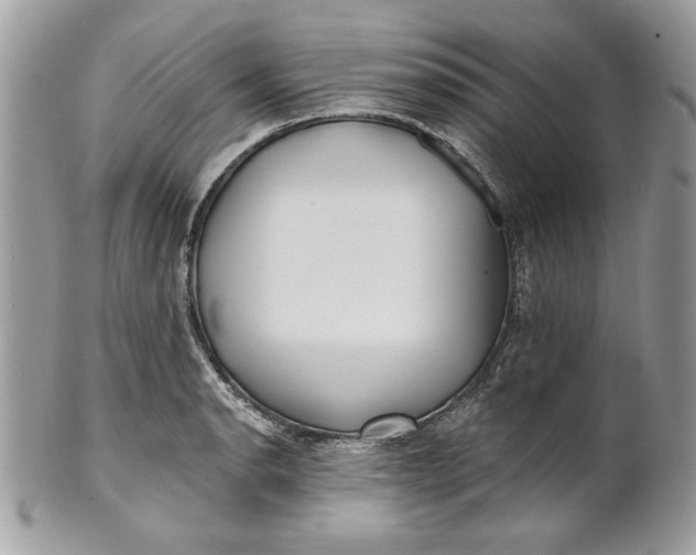 X0000100871134200807071056