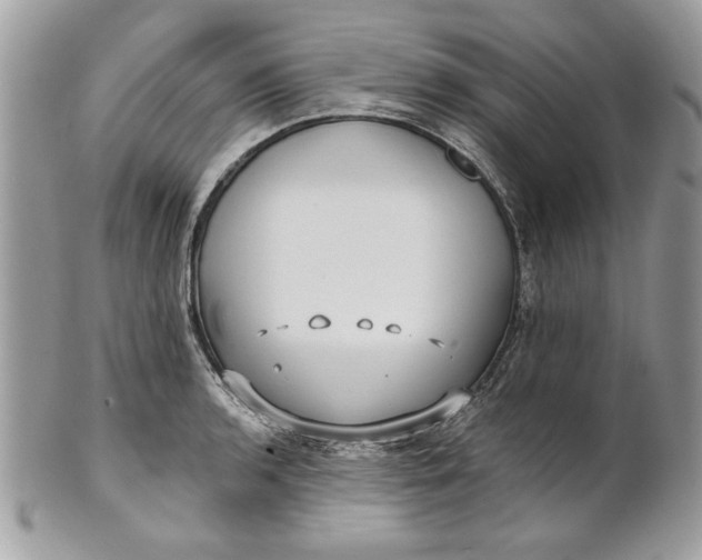 X0000100871136200807071056