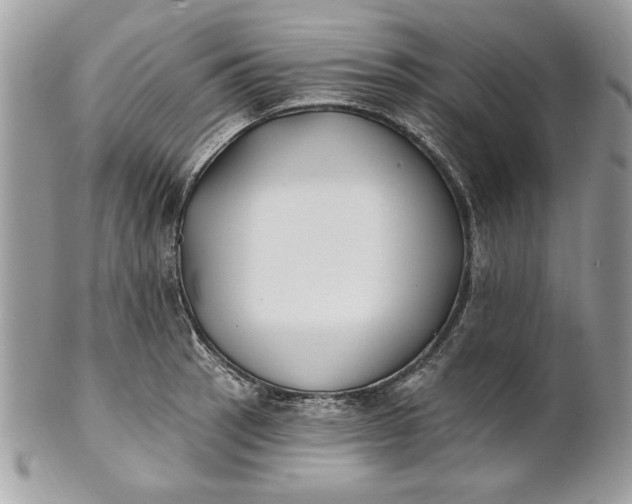 X0000100871137200807071056