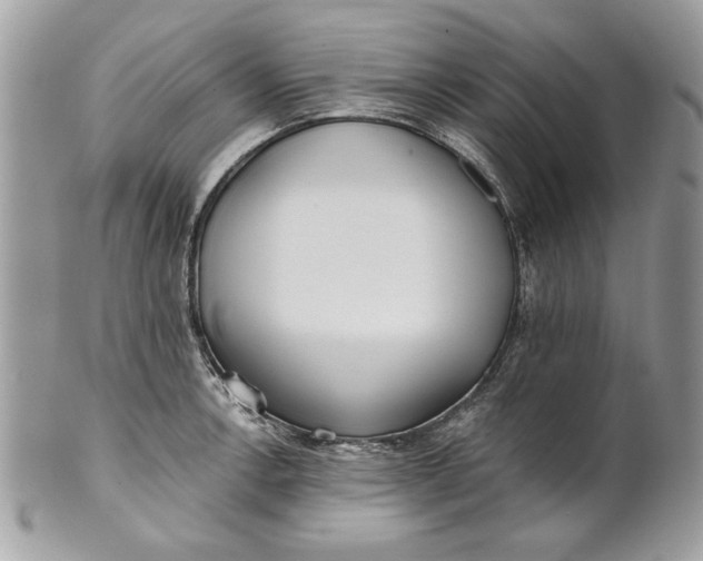 X0000100871138200807071056