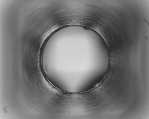 X0000100871139200807071056