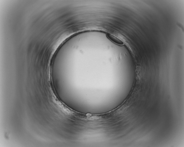 X0000100871140200807071056