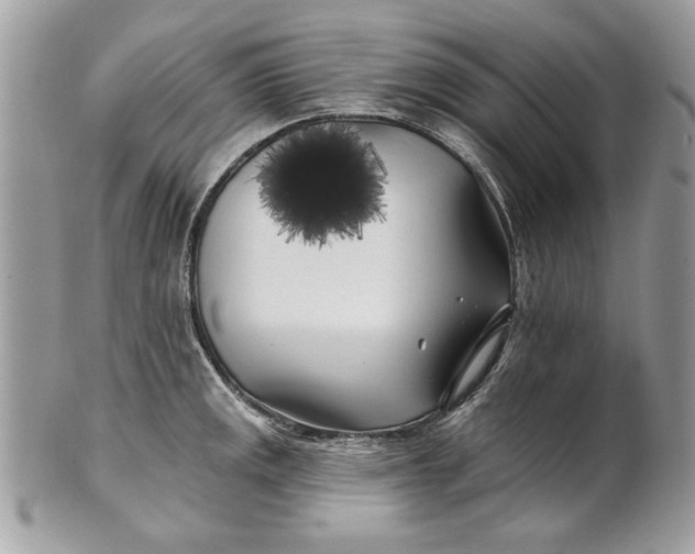 X0000100871141200807071056