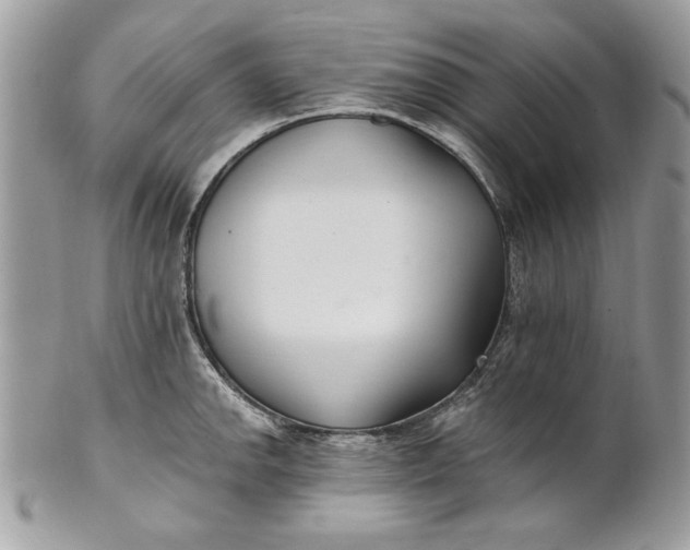 X0000100871142200807071056