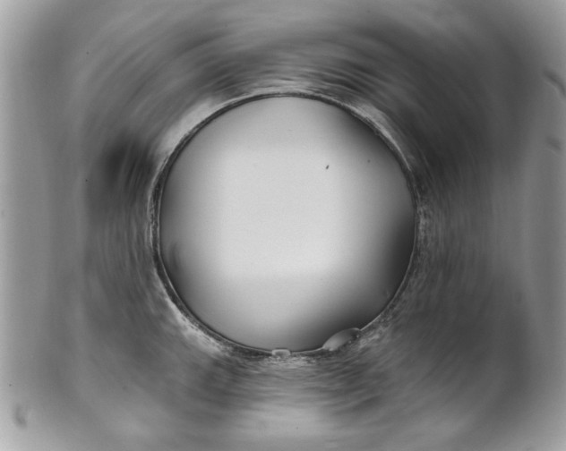 X0000100871143200807071056