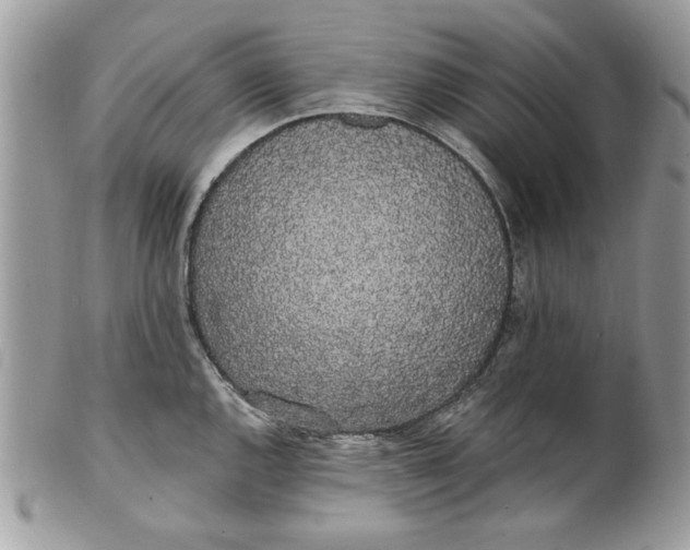 X0000100871144200807071056