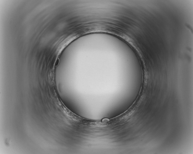 X0000100871145200807071056