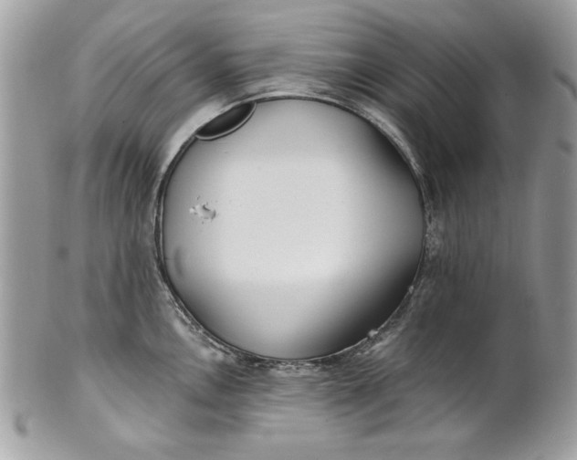 X0000100871146200807071056