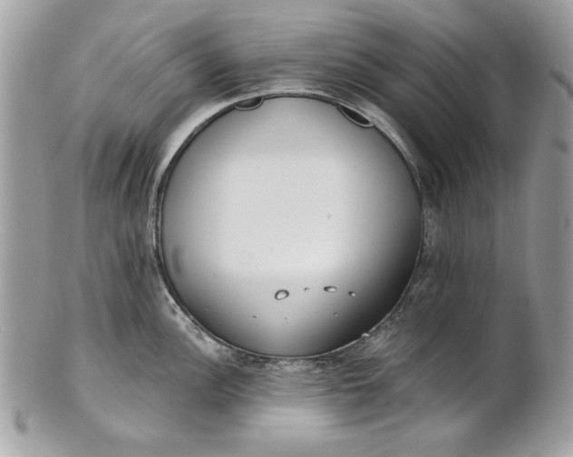 X0000100871148200807071056