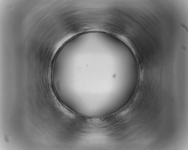 X0000100871149200807071056