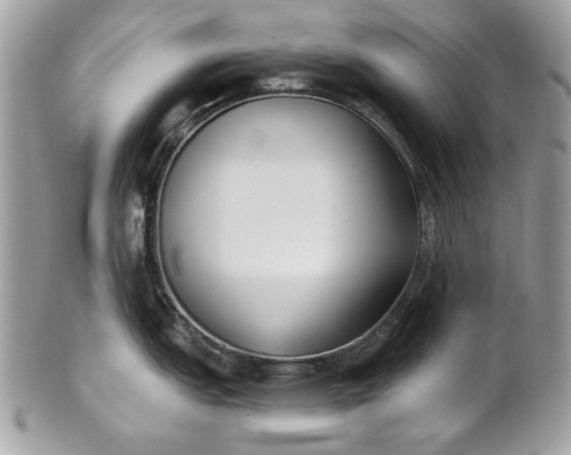 X0000100871151200807071056