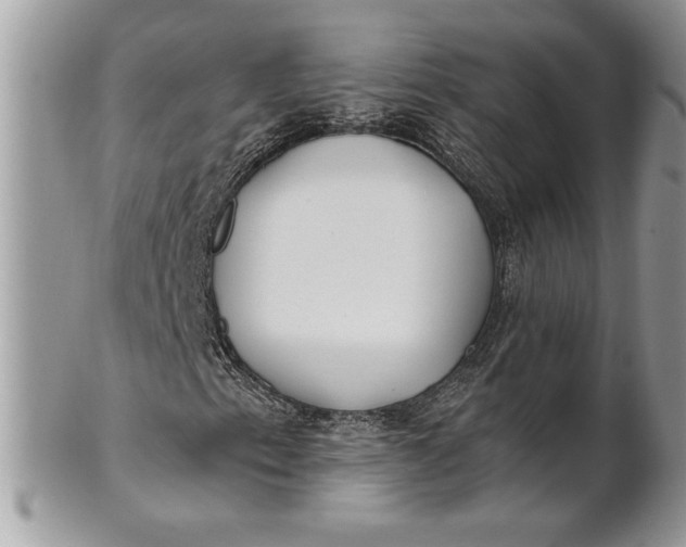 X0000100871153200807071055